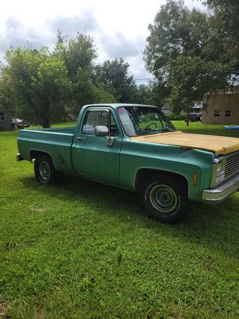 1978 Chevy Mud Truck for Sale - (FL)